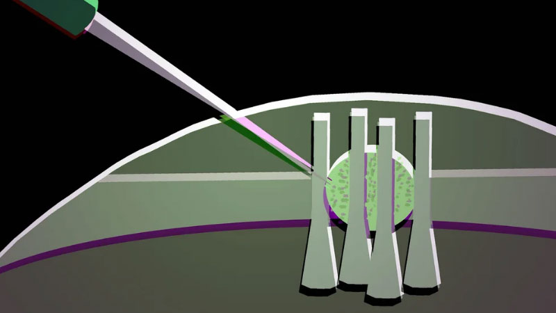 Wissenschaftler haben aus einer Tropfen flüssigen Kristalls einen flexiblen optischen Transistor für zukünftige fotonische Chips hergestellt