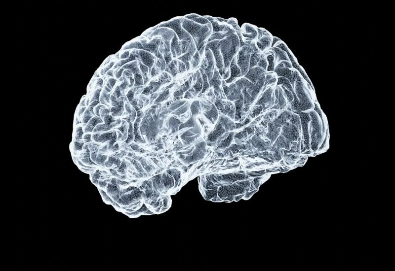 Chinesische Gehirnimplantate liegen etwa drei Jahre hinter dem amerikanischen Neuralink zurück