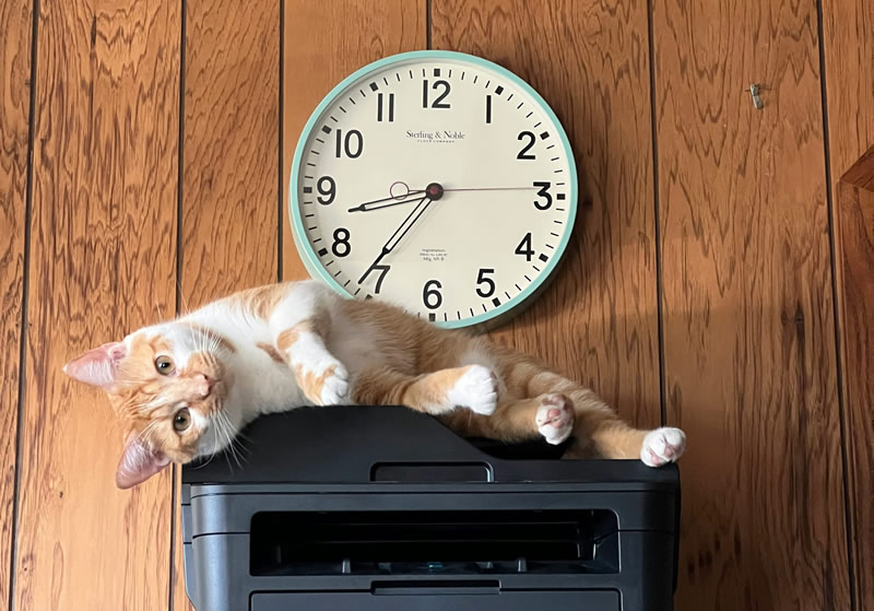 Windows 11 wird die Unterstützung für alte Druckertreiber der Versionen V3 und V4 mit dem nächsten Update einstellen