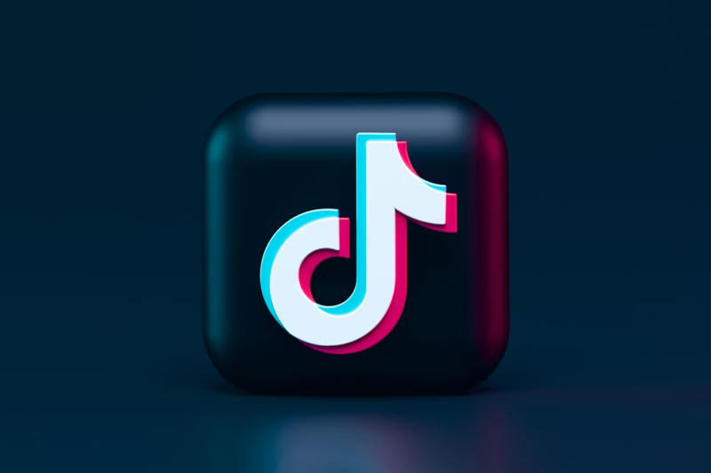 TikTok stellt die „Türsteher“-Position im höchsten europäischen Gericht in Frage