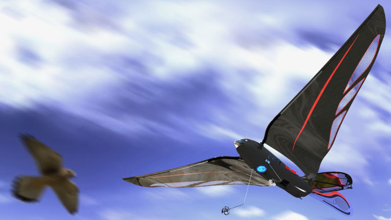 Ein Ingenieur hat einen 10‑Grammlasten-Roboter-Vogel gebaut, der bis zu 31 km/h beschleunigt und über ein Smartphone gesteuert werden kann.