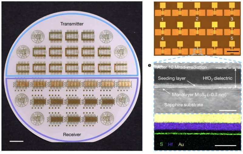 Chinesische Wissenschaftler haben eine für Strahlung transparente Elektronik entwickelt, die strahlenresistent ist.