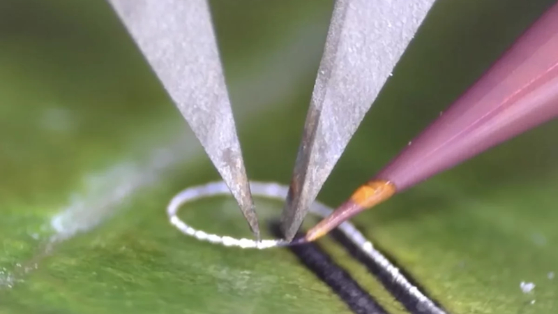 Ingenieure haben ein Gerät entwickelt, das es ermöglicht, elektronische Bauteile ohne Schäden auf lebende Gewebe und medizinische Implantate aufzubringen.