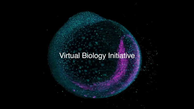 Mark Zuckerbergs Biohub hat die Therapie aller Krankheiten beschleunigt, indem KI‑Zellmodelle eingesetzt wurden