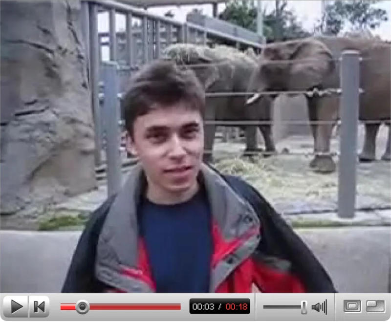 Die ersten YouTube‑Videos wurden in die Sammlung des Museums aufgenommen.