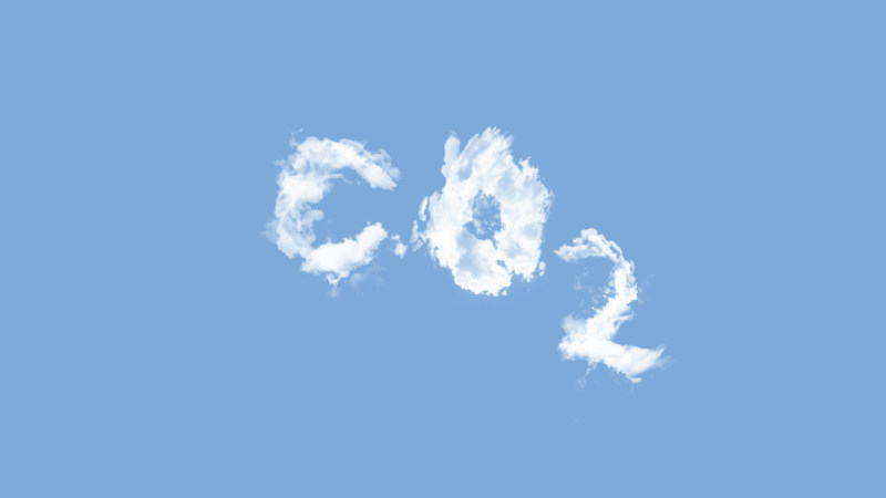 Hunderttausende wurden zu zehn Millionen: Künstliche Intelligenz beschleunigte das Wachstum der Nachfrage nach Kohlenstoffkrediten bei Technologiegiganten